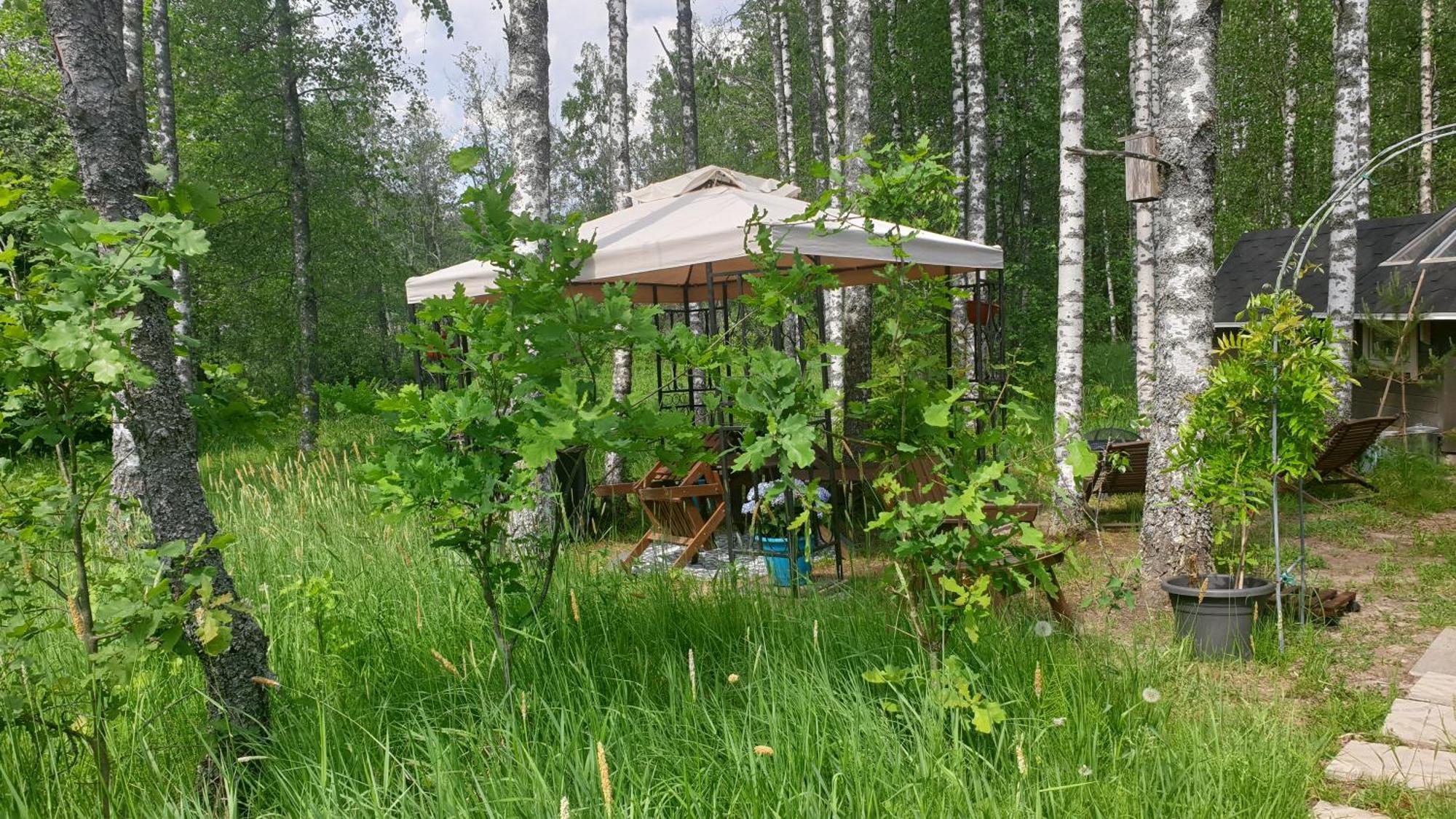 Troll House Eco-Cottage, Nuuksio For Nature Lovers, Petfriendly 艾斯堡 外观 照片